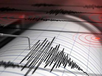 Prezident güclü zəlzələyə görə konfransı yarımçıq dayandırdı