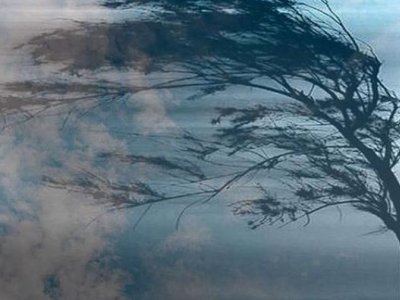 Nazirlikdən küləkli hava xəbərdarlığı