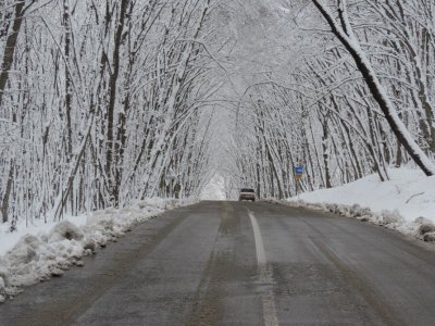 Qar yağacaq, 8 dərəcə şaxta olacaq - Sabahın havası