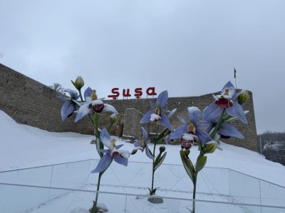 Şuşanın dağları başı qarlı - FOTOLAR