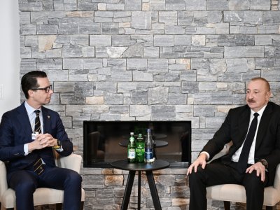 Prezident&nbsp;&ldquo;Carlsberg Group&rdquo; şirkətinin Baş icraçı direktoru ilə görüşdü&nbsp;