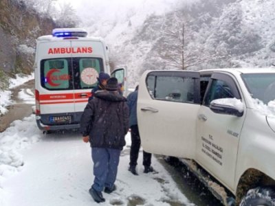 Türkiyədə qar uçqunu - Ölən var