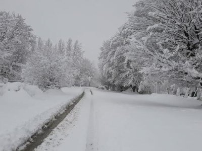 Rayonlarda qar&nbsp;intensivləşib, 12 dərəcə şaxta var