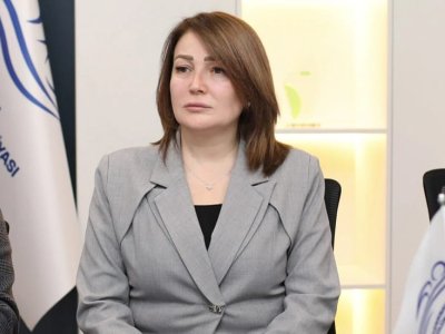 Sabiq deputata yeni vəzifə verildi