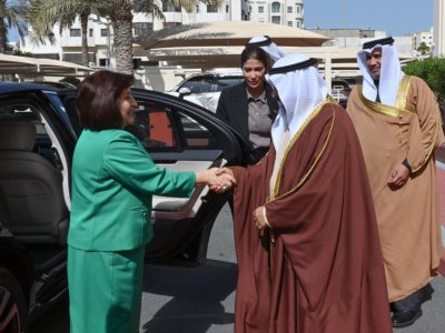 Sahibə Qafarova həmkarı ilə görüşdü