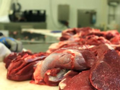 Restoranlarda &ldquo;Qırmızı kitab&rdquo;a&nbsp;düşən heyvanların əti satılır