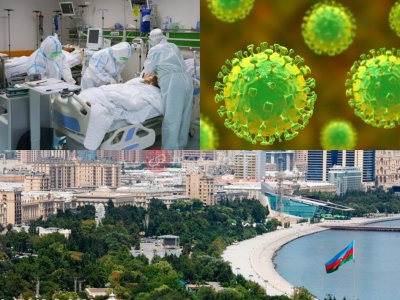 Hindistanda ölmücül virus yayılır: Azərbaycan üçün risk varmı?