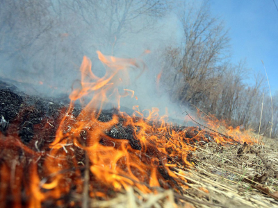 Əkin yerlərini yandıranlar 7 min manat CƏRİMƏLƏNƏCƏK