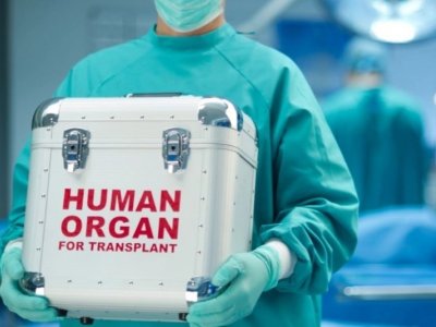 Azərbaycanda 10-a yaxın meyitin orqanları başqasına köçürülüb