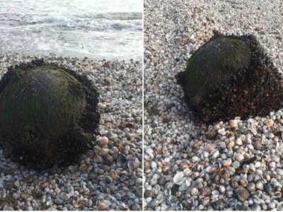 Qara dəniz sahilində mina tapıldı