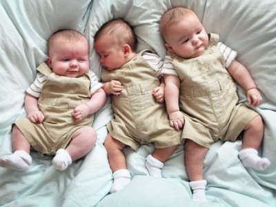 Masallıda üçəm dünyaya gəldi