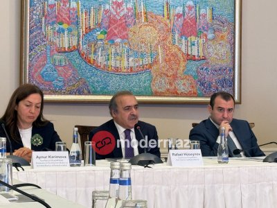 Vitse-spiker illərdir çalışdığı qanun layihəsi barədə DANIŞDI