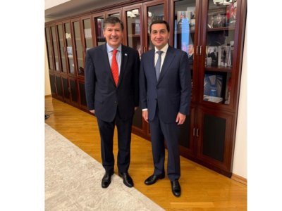 Hikmət Hacıyev BMT-nin müvəqqəti rezident əlaqələndiricisi ilə görüşdü