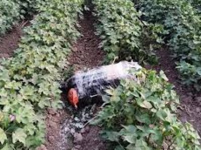 Narkotiklərin PUA vasitəsilə Azərbaycana keçirilməsinin&nbsp;qarşısı alındı