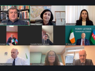 Azərbaycanla İrlandiya parlamentarilərinin görüşü keçirilib