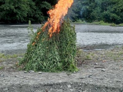 Dövriyədən çıxarılmış narkotik yandırıldı