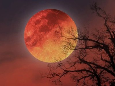 Aya kütləvi köçün&nbsp;vaxtıdır - İlon&nbsp;Mask