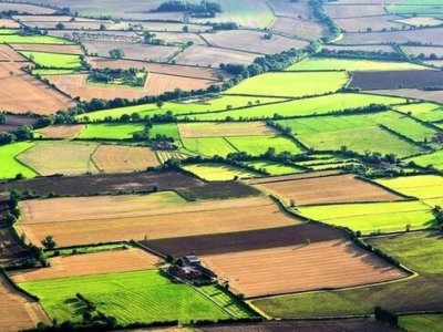 Тысячи гектаров земли, незаконно выделенные муниципалитетом, возвращены