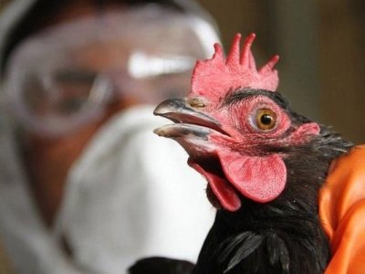 Azərbaycanda bu 2 xəstəliyə yoluxma aşkarlanmayıb