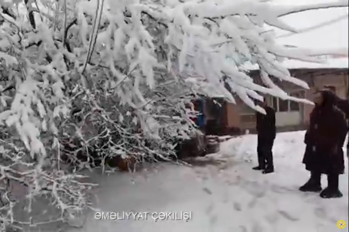 Güclü qar səbəbindən vətəndaşın üzərinə ağac aşdı - VİDEO