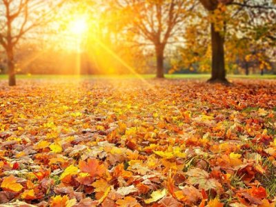 Temperatur kəskin artır - Sabah 20 dərəcə isti olacaq