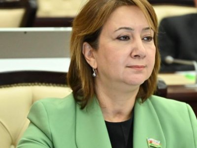 Münhen Təhlükəsizlik Konfransında Azərbaycanın mövqeyi