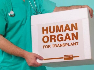 Azərbaycanda meyitdən orqan köçürülməsinə razılıq verən ailələrin sayı açıqlandı