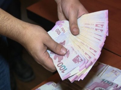 Almaniyada işə düzəlmək istəyən şəxsin 20 min manatı mənimsənilib