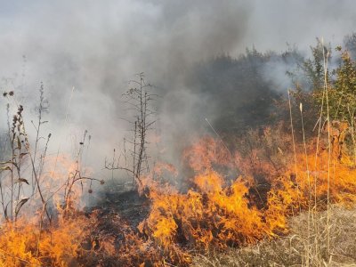 Şəkidə dağlıq ərazidə yanğın başlayıb