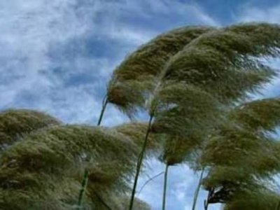 Külək güclənəcək - XƏBƏRDARLIQ