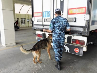 TIR-dan 63 kq narkotik çıxdı, atam günahsız yerə həbsdədir