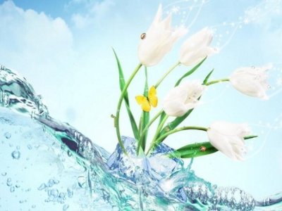 Su Çərşənbəsi&nbsp;bölgələrdə necə qeyd olunur? &ndash; MARAQLI