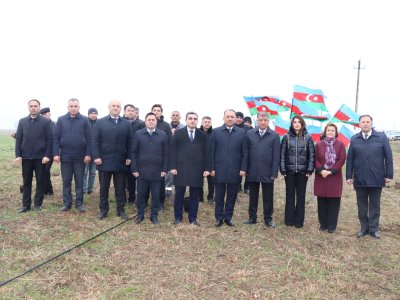 "Su çərşənbəsi"ndə&nbsp;ağacəkmə aksiyası keçirilib