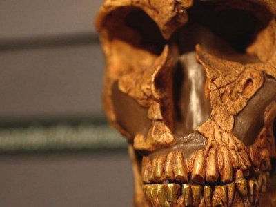 انسانی که 80 هزار سال پیش در آذربایجان زندگی می‌کرده، بقایایش کشف شد