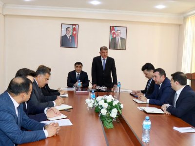 Samuxda qəhvəyi mərmər bağacığına qarşı mübarizə aparılır - FOTOLAR