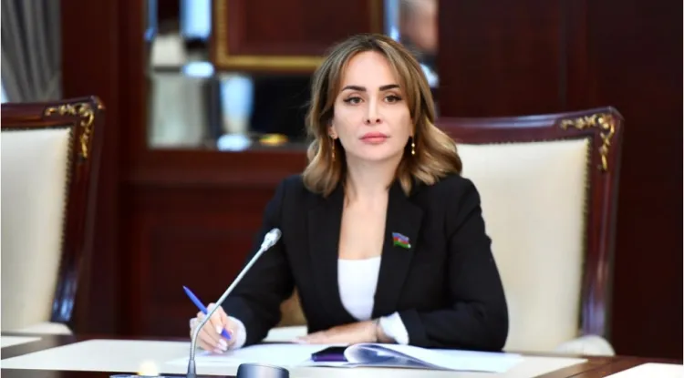 Qüvvədə olan qanunvericilik müasir təcrübə ilə uyğunlaşmır