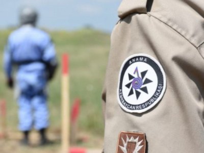 ANAMA-ya yeni vəzifə həvalə edildi