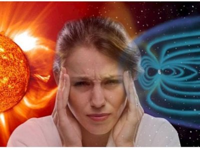 Metohəssas insanlara PİS XƏBƏR