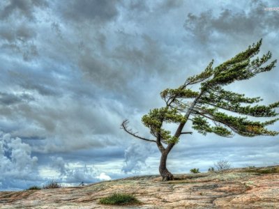 Külək güclənəcək - XƏBƏRDARLIQ
