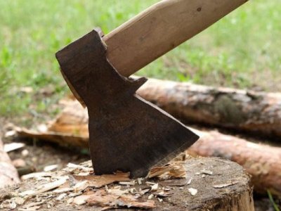 Təbiətə 63 min manatdan çox ziyan vurdular