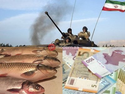 Bakının balıq bazarında qiymət kəllə-çarxa qalxdı -&nbsp;SƏBƏB&nbsp;