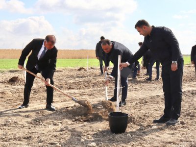 Samuxda&nbsp;ağacəkmə aksiyası keçirilib - FOTOLAR