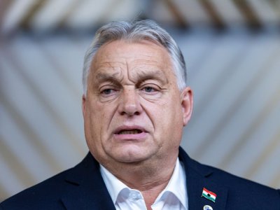 Avropada xaos hökm sürür - Orban