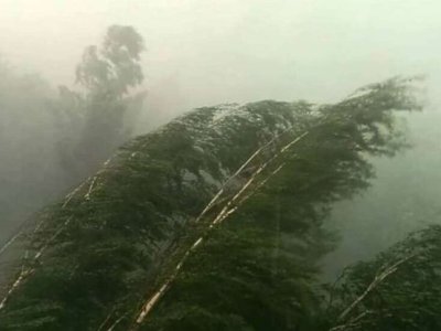 Azərbaycandü güclü külək əsəcək - XƏBƏRDARLIQ