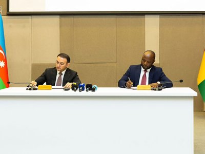 "ASAN xidmət" Qvineyada tətbiq ediləcək - FOTOLAR