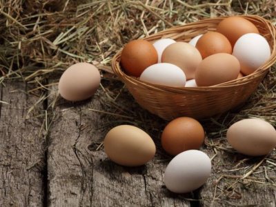 Azərbaycan yumurta ixracını dayandırdı