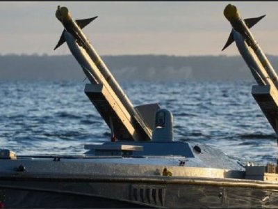 Ukraynalılar NATO-ya dərs keçdi