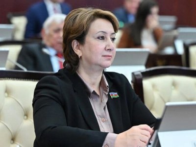 Qarayaxma kampaniyalarına qarşı ən sərt tədbirlər görülməlidir