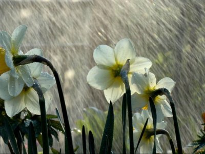 Bayram günü leysan olacaq, qar yağacaq, sel keçəcək -&nbsp;XƏBƏRDARLIQ