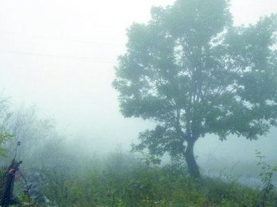 Bölgələrdə yağış, Bakıda duman - FAKTİKİ HAVA